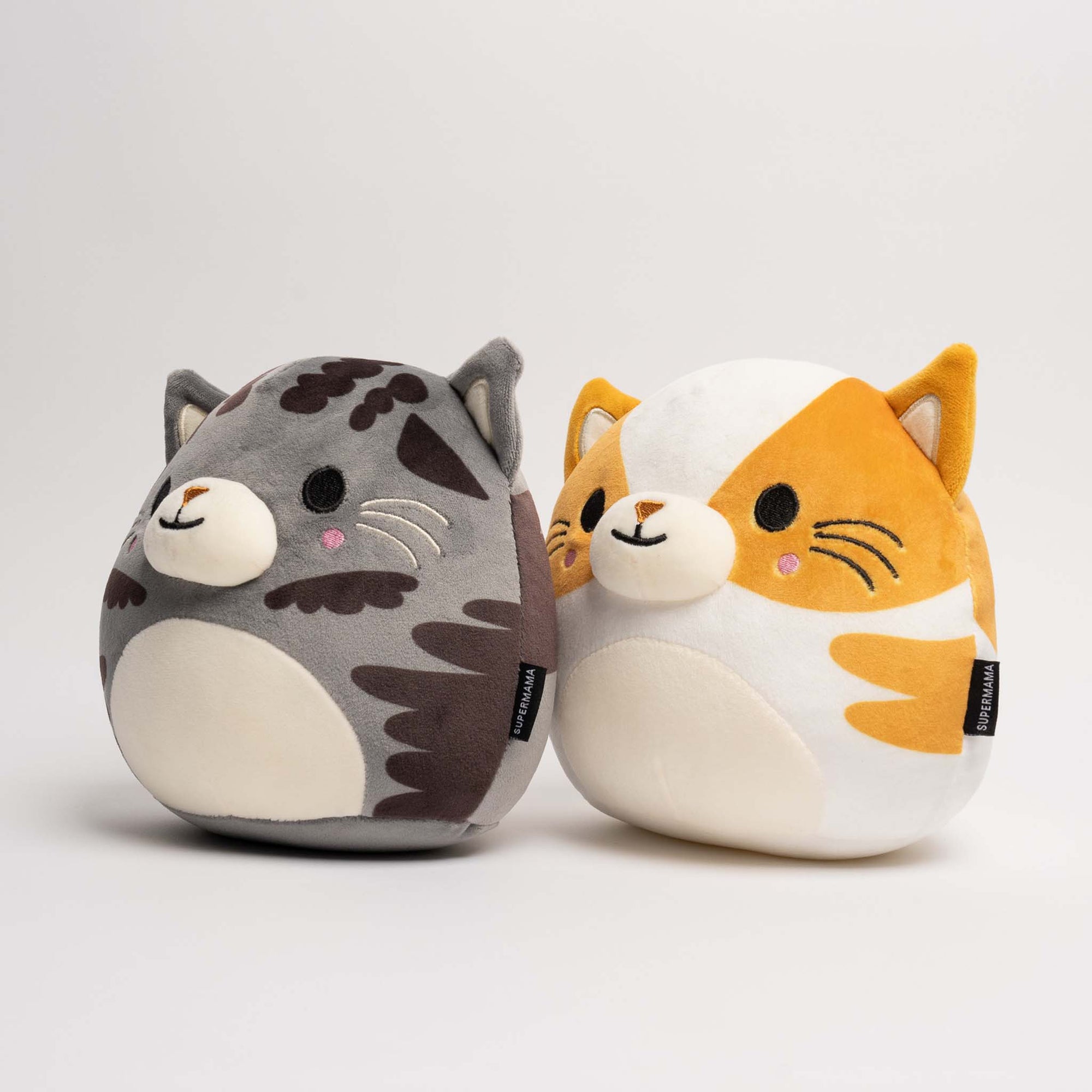 A Pair of HDB Tabbies