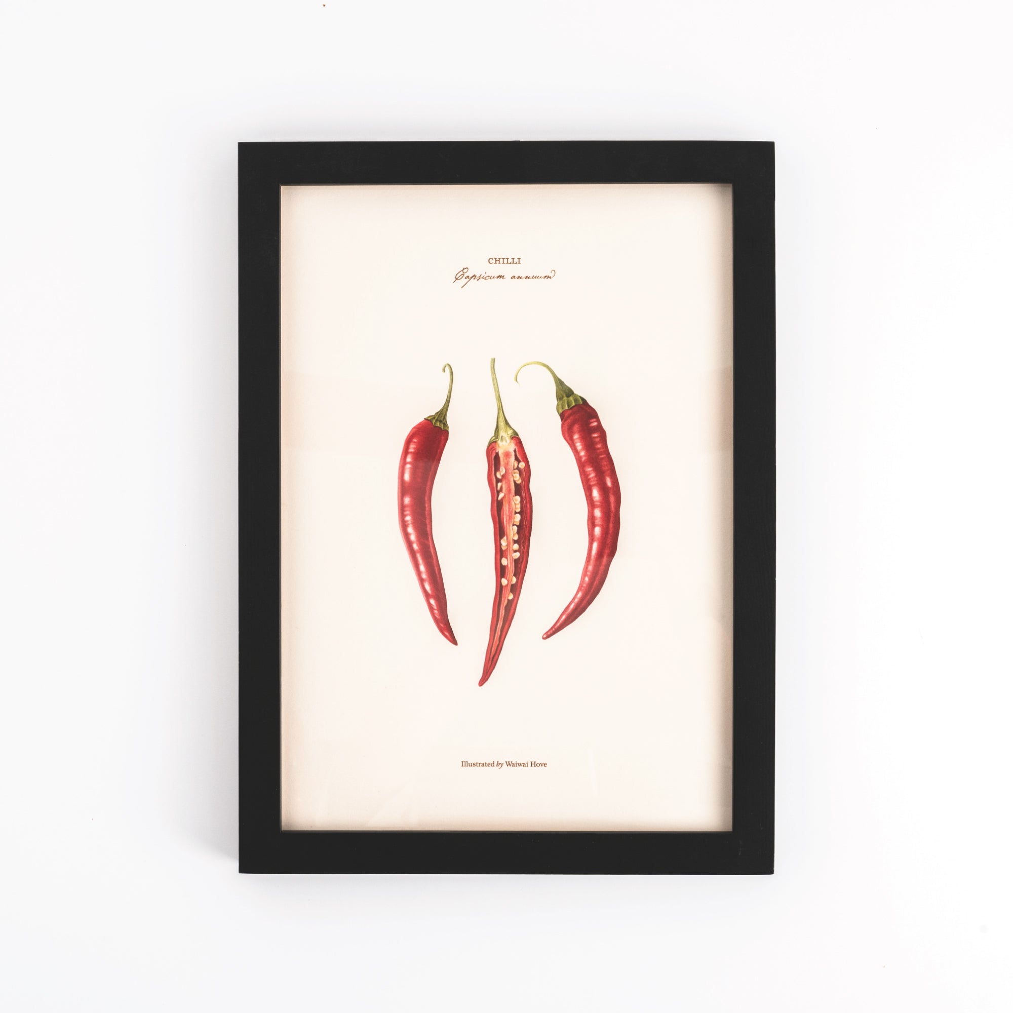 Pasar Botanica- Chilli Archival Print
