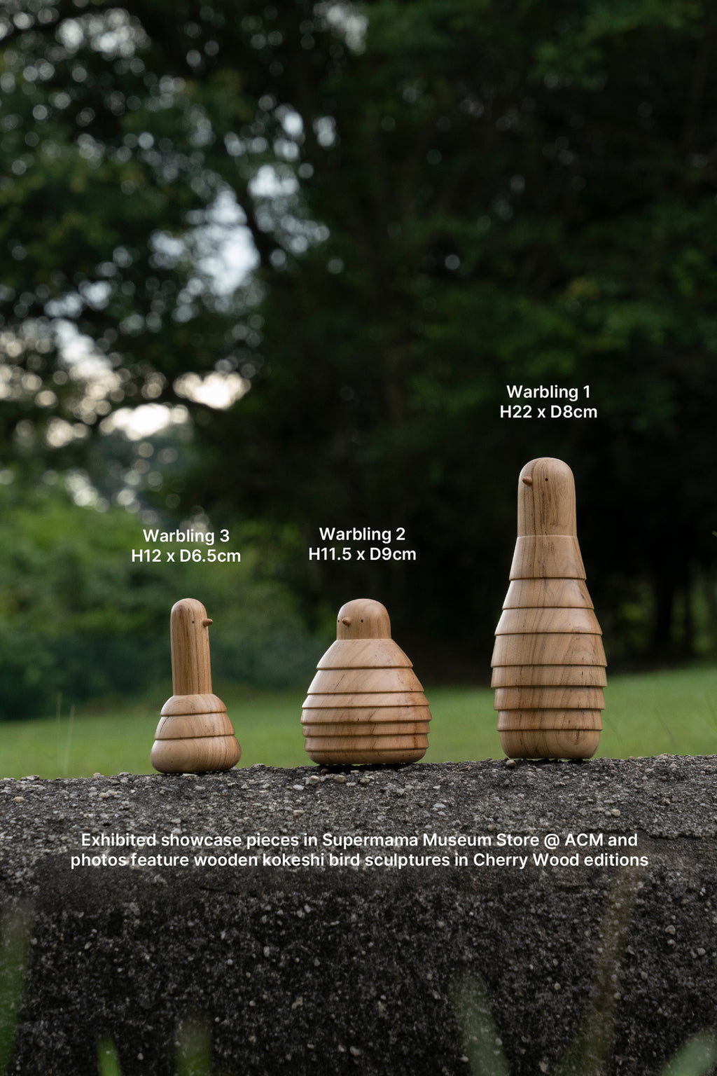 (Pre-order) Wooden Kokeshi Bird Sculptures | Aeropalmics x Sakurai Kokeshi