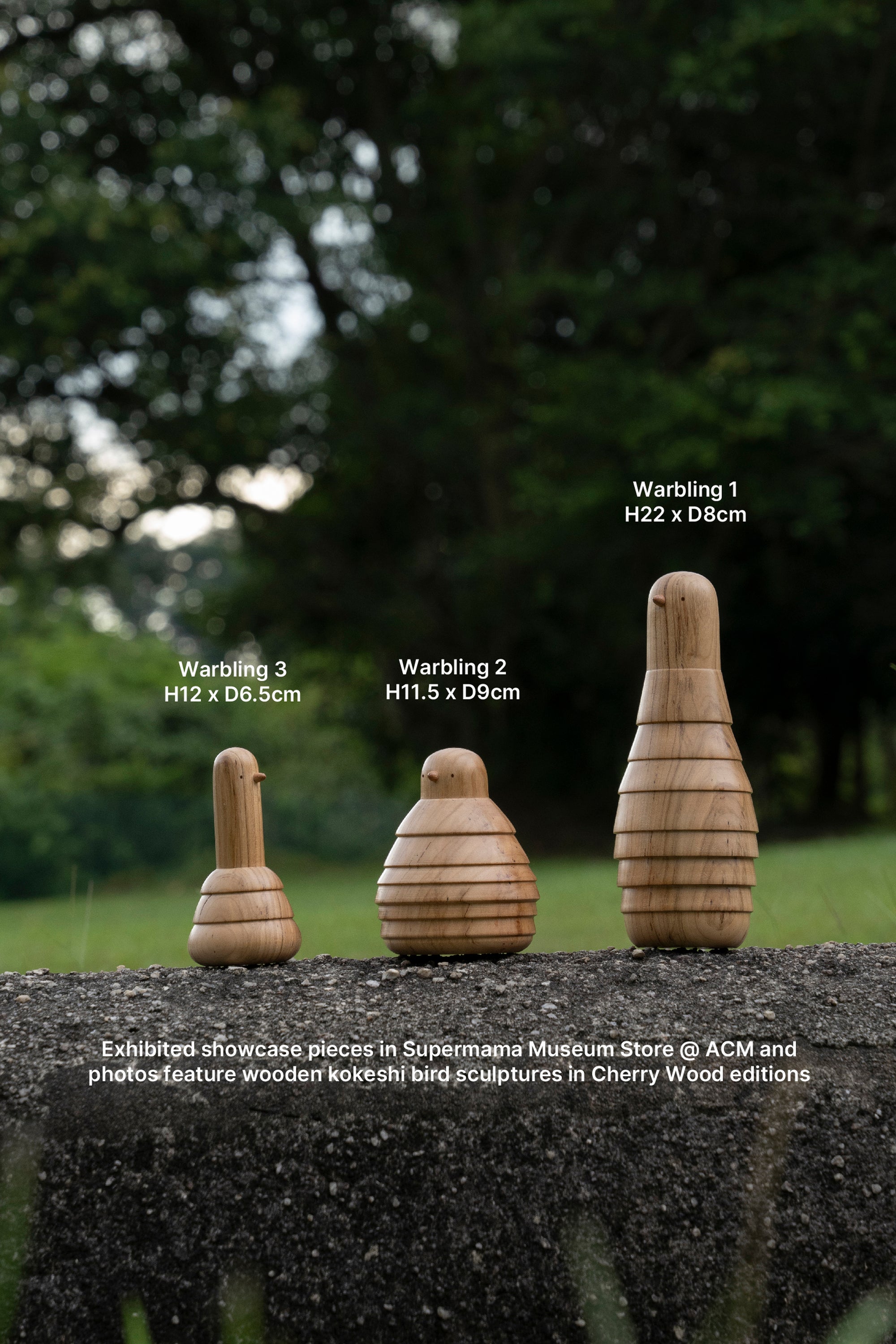 (Pre-order) Wooden Kokeshi Bird Sculptures | Aeropalmics x Sakurai Kokeshi