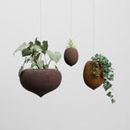 Acornest Pot (L) Hanging