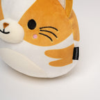 A Pair of HDB Tabbies