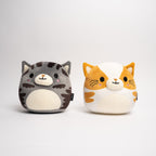 A Pair of HDB Tabbies