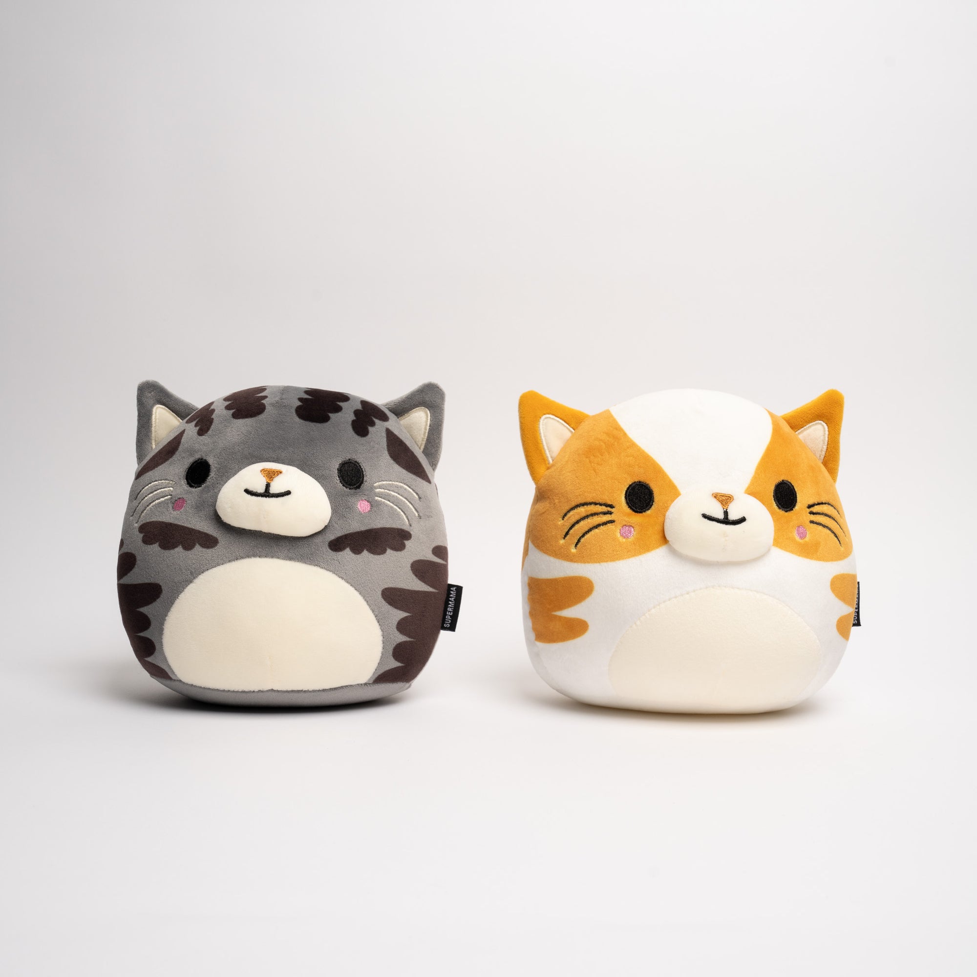 A Pair of HDB Tabbies