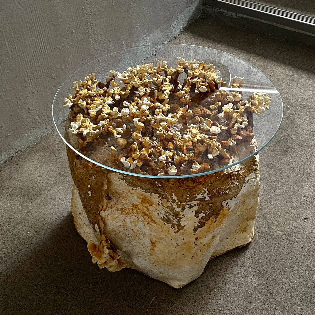Weight of Nothingness - Mycelium Coffee Table