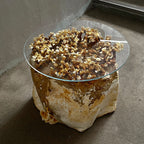 Weight of Nothingness - Mycelium Coffee Table