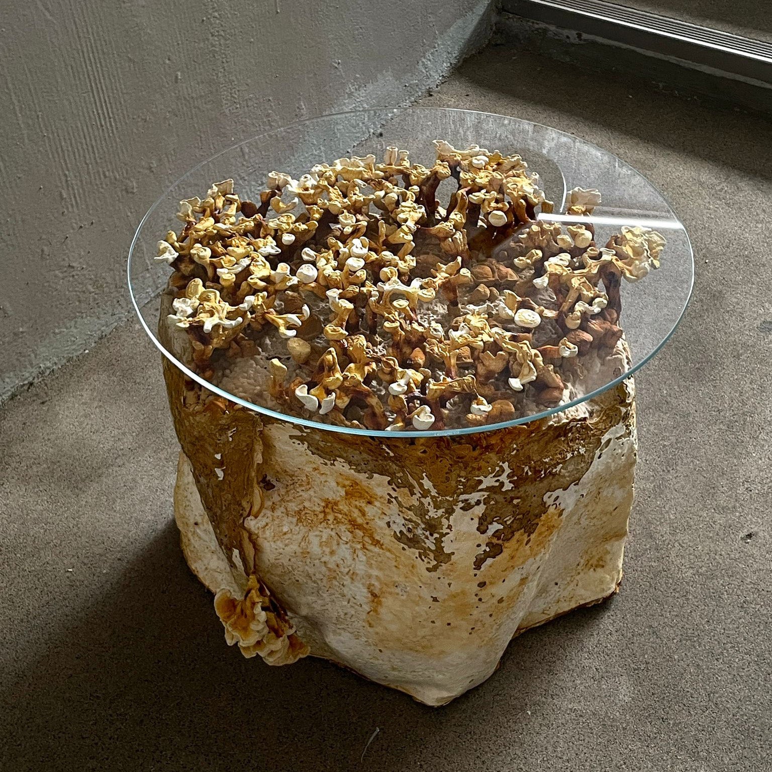 Weight of Nothingness - Mycelium Coffee Table