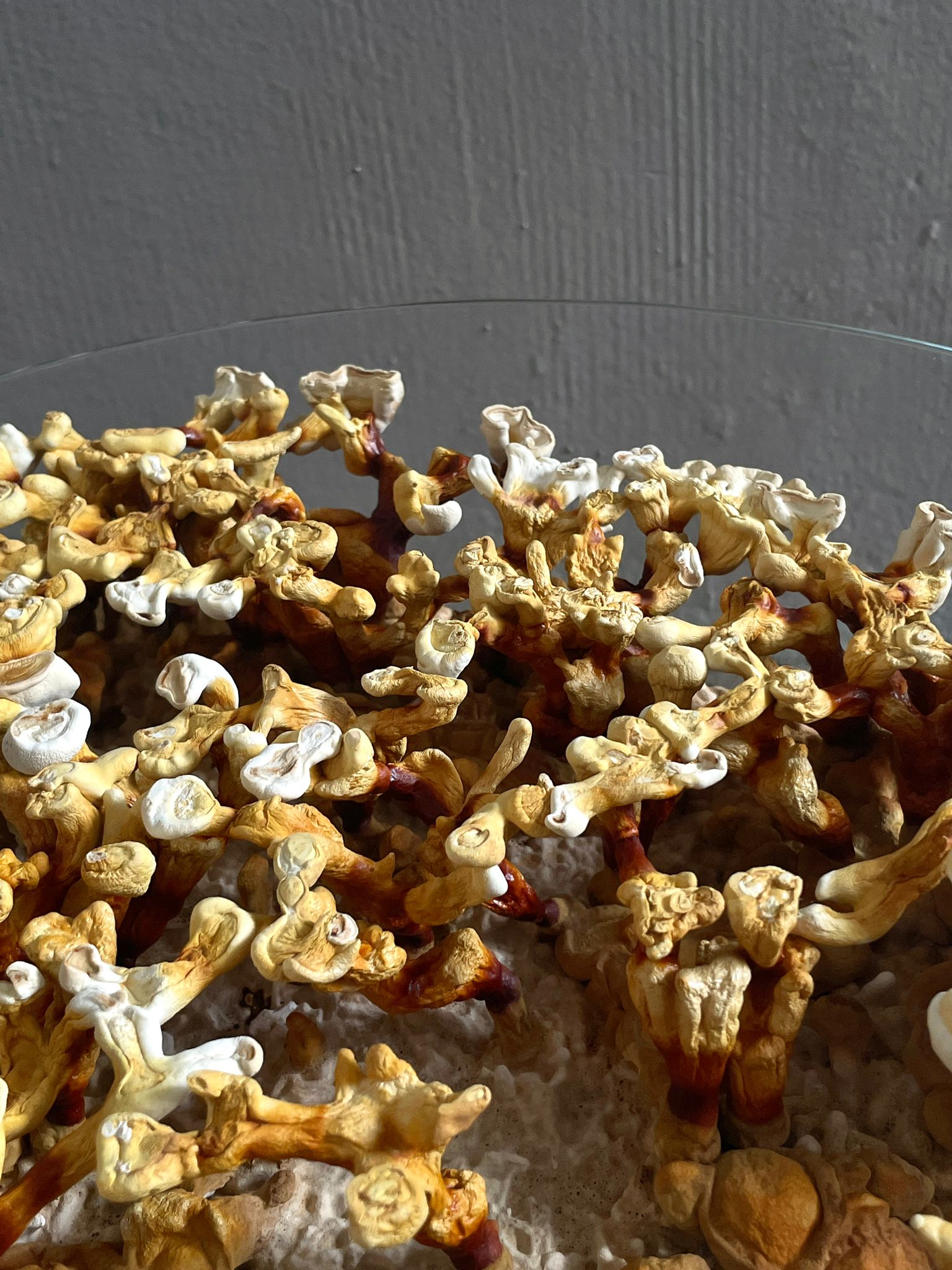Weight of Nothingness - Mycelium Coffee Table
