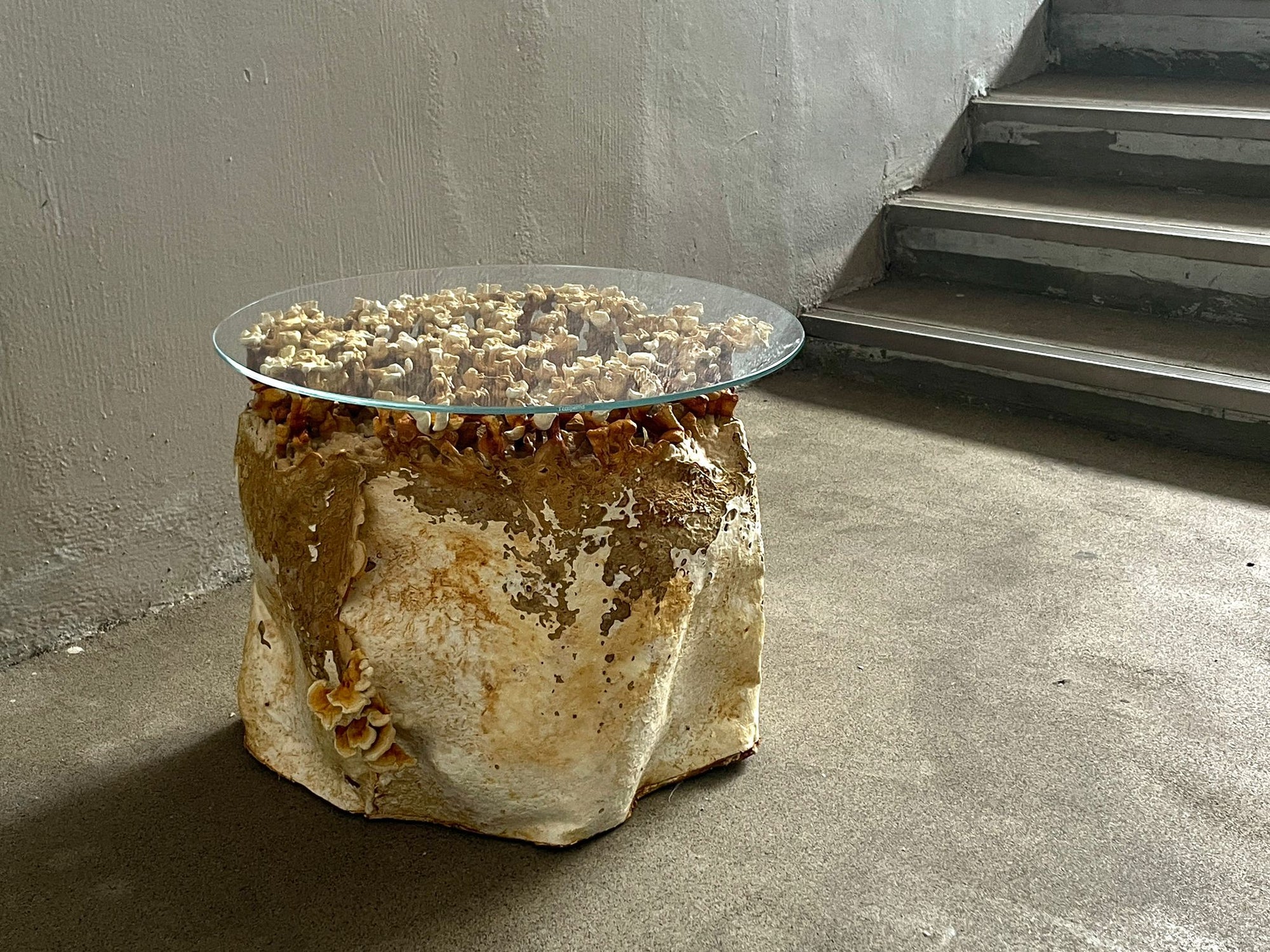 Weight of Nothingness - Mycelium Coffee Table