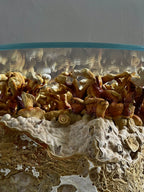 Weight of Nothingness - Mycelium Coffee Table