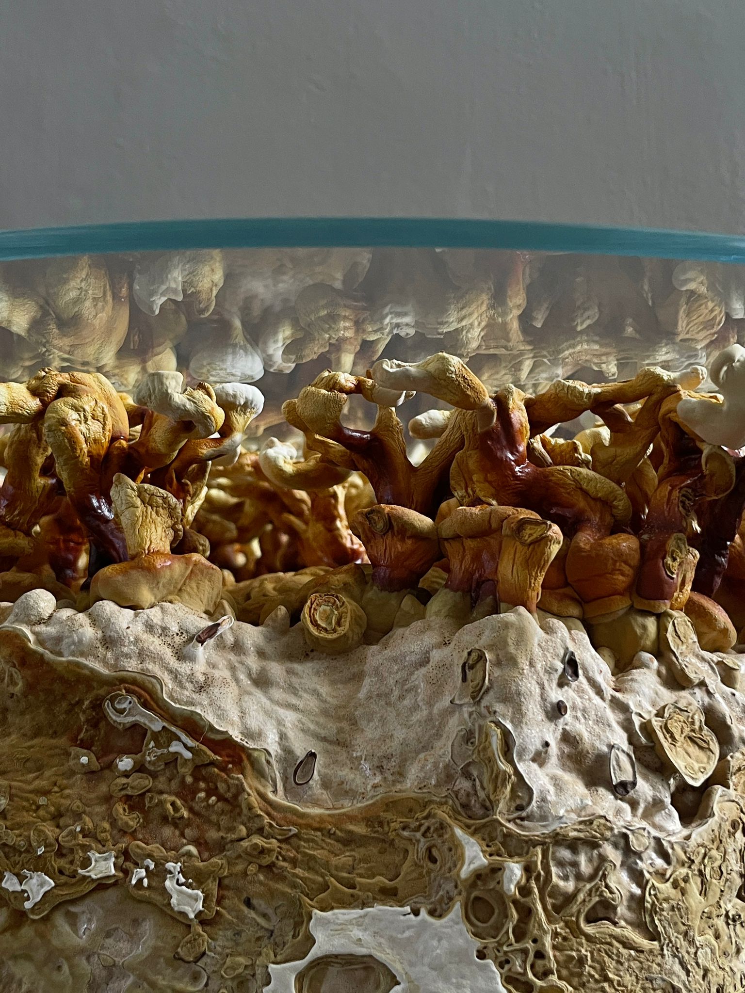Weight of Nothingness - Mycelium Coffee Table