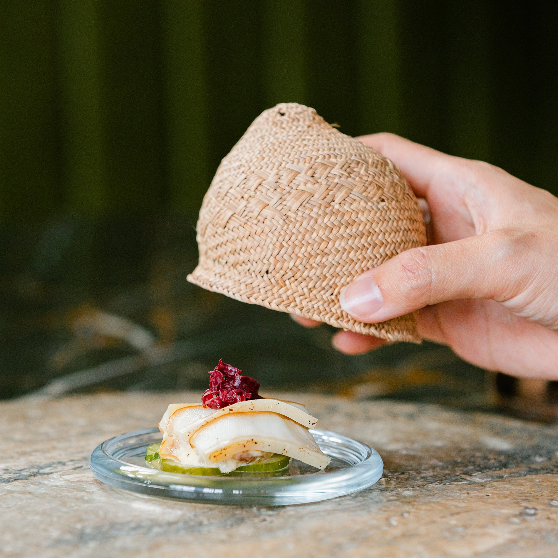 Rush Tableware Collection - Shade 遮