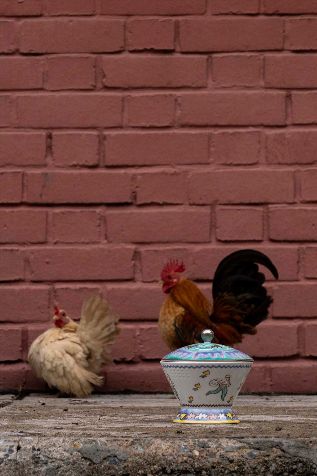 Hunter Gatherer: The Porcelain Collection | Ripple Root x Kihara Porcelain