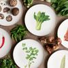 Pasar Botanica - 8 Inch Plate: 2 for $48 (Limited Time Promo)