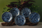 The Mandai Collection - Fragile Forest (15cm)