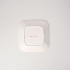 The Beaded Garden Collection - Bone China Tray