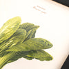 Pasar Botanica- Bokchoy Archival Print