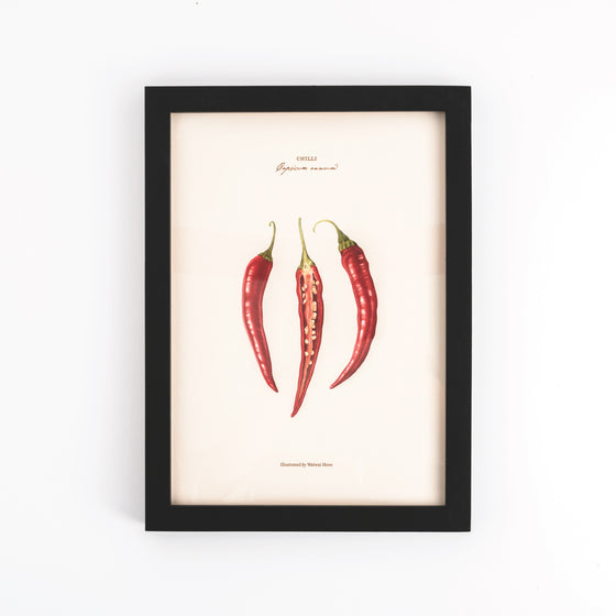 Pasar Botanica- Chilli Archival Print