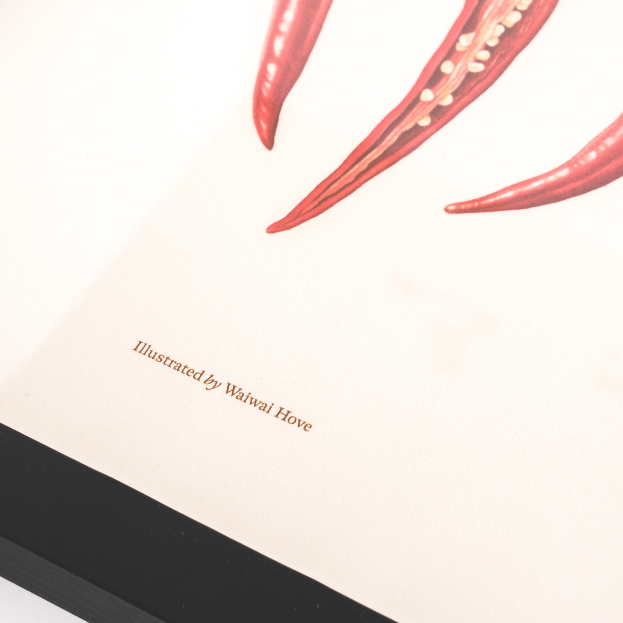 Pasar Botanica- Chilli Archival Print