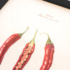 Pasar Botanica- Chilli Archival Print