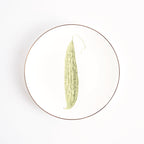 Pasar Botanica- Bittergourd 8 Inch Plate