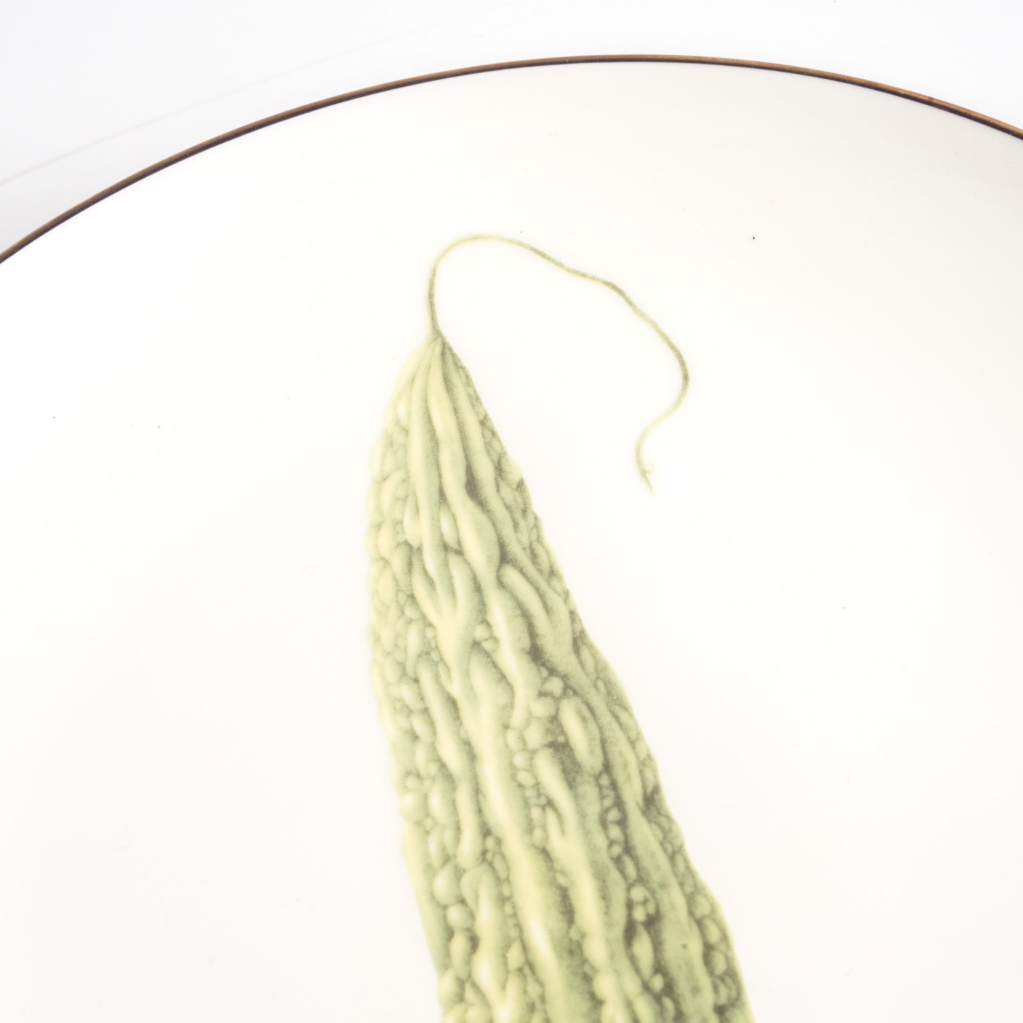 Pasar Botanica- Bittergourd 8 Inch Plate