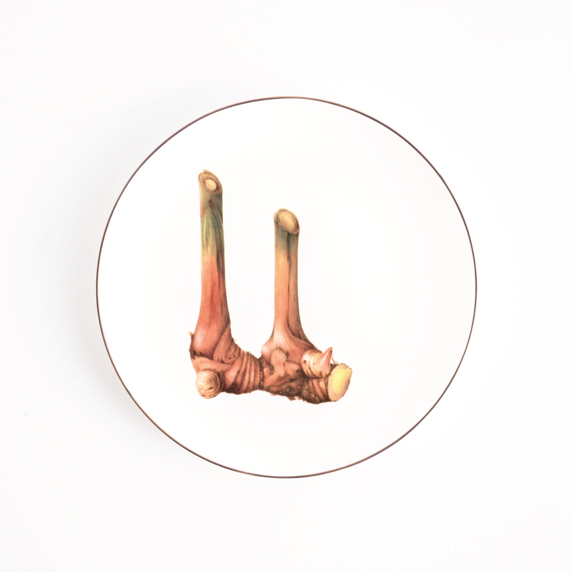 Pasar Botanica- Galangal 8 Inch Plate