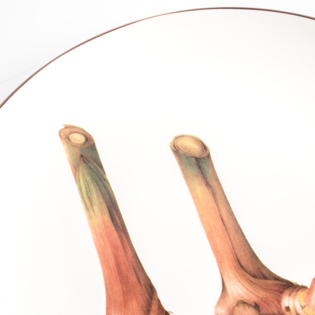 Pasar Botanica- Galangal 8 Inch Plate
