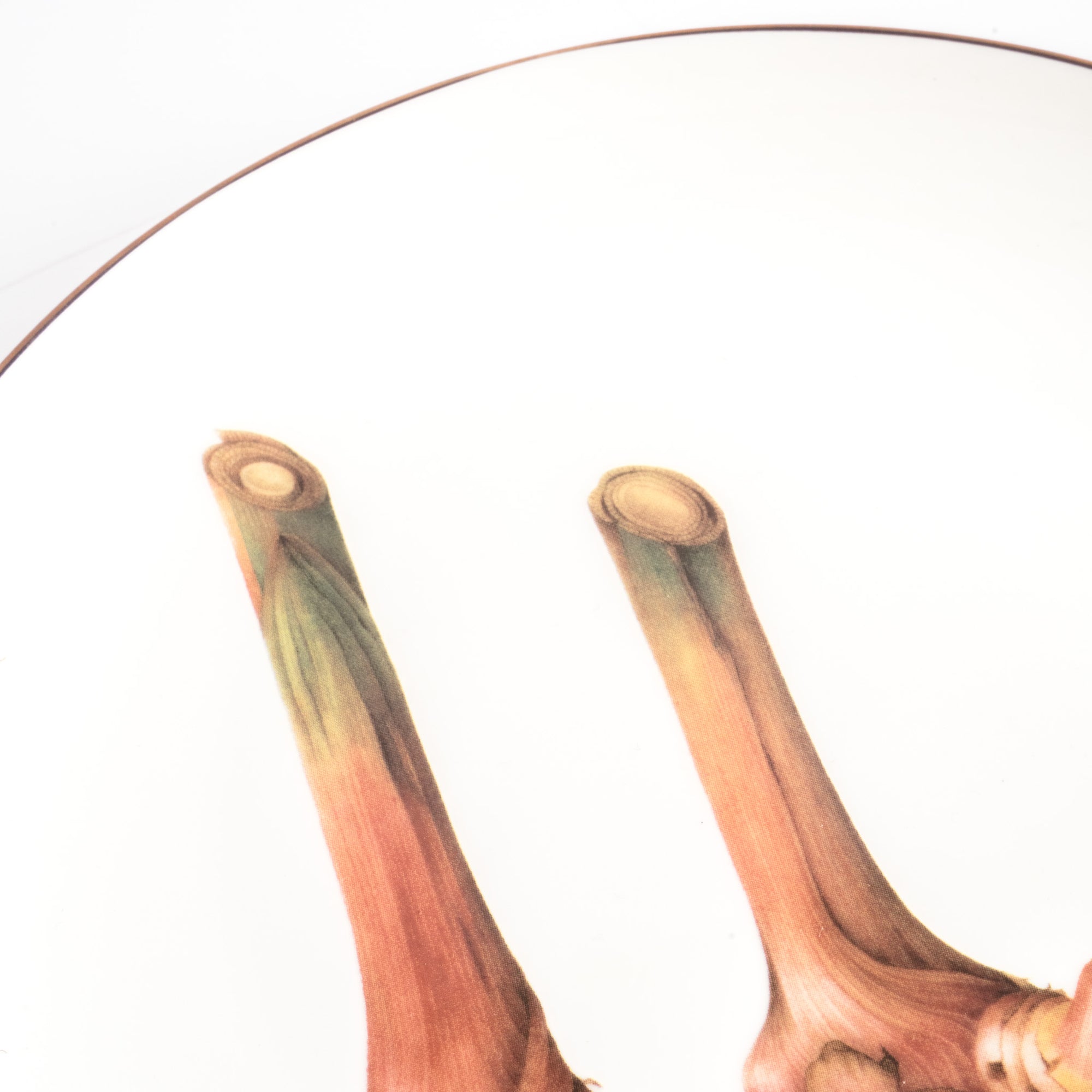 Pasar Botanica- Galangal 8 Inch Plate