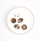 Pasar Botanica- Shiitake 8 Inch Plate
