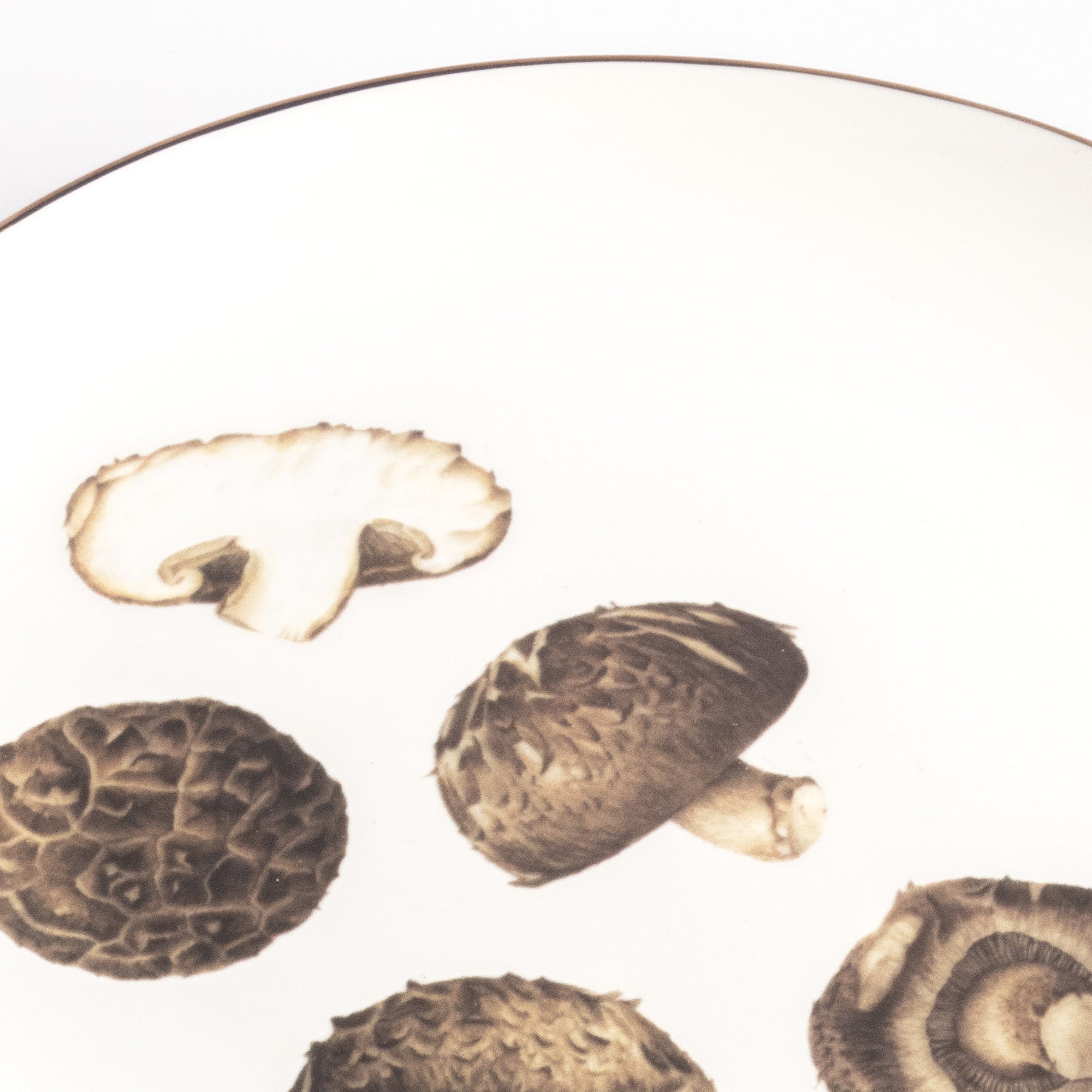Pasar Botanica- Shiitake 8 Inch Plate