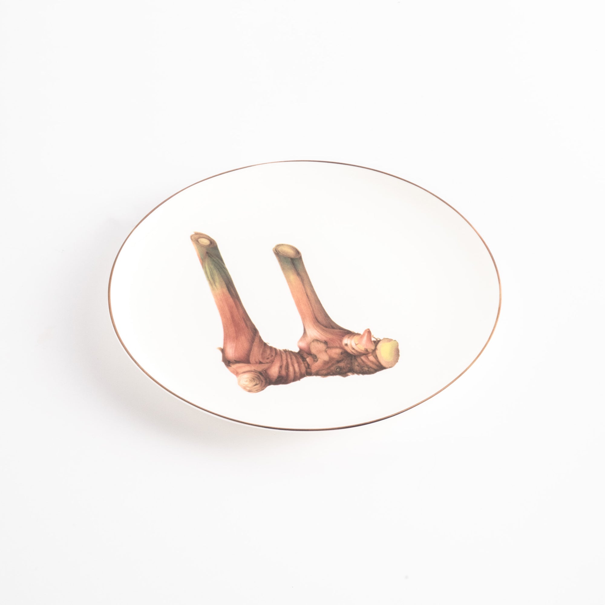 Pasar Botanica- Galangal 8 Inch Plate