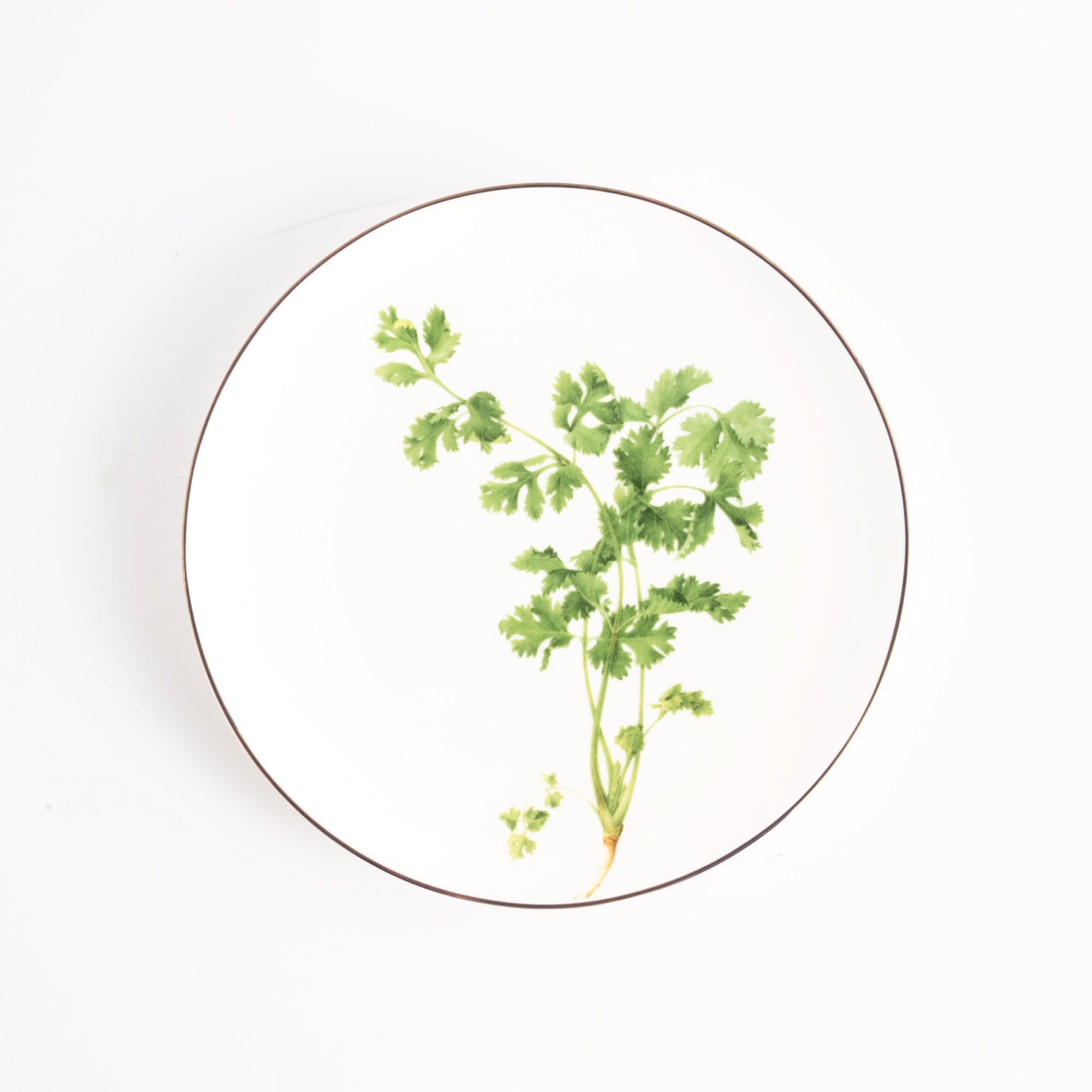 Pasar Botanica- Coriander 8 Inch Plate