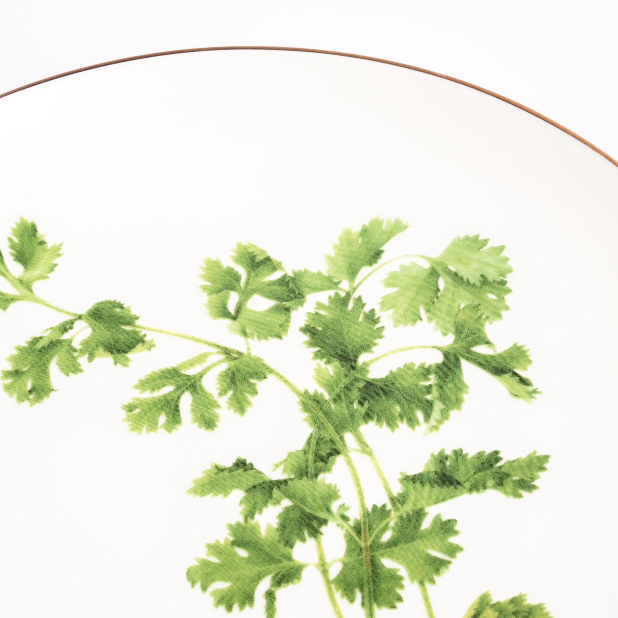 Pasar Botanica- Coriander 8 Inch Plate