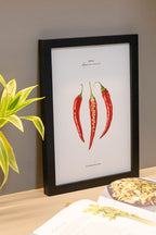 Pasar Botanica- Chilli Archival Print