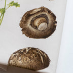 Pasar Botanica- Tea Towel